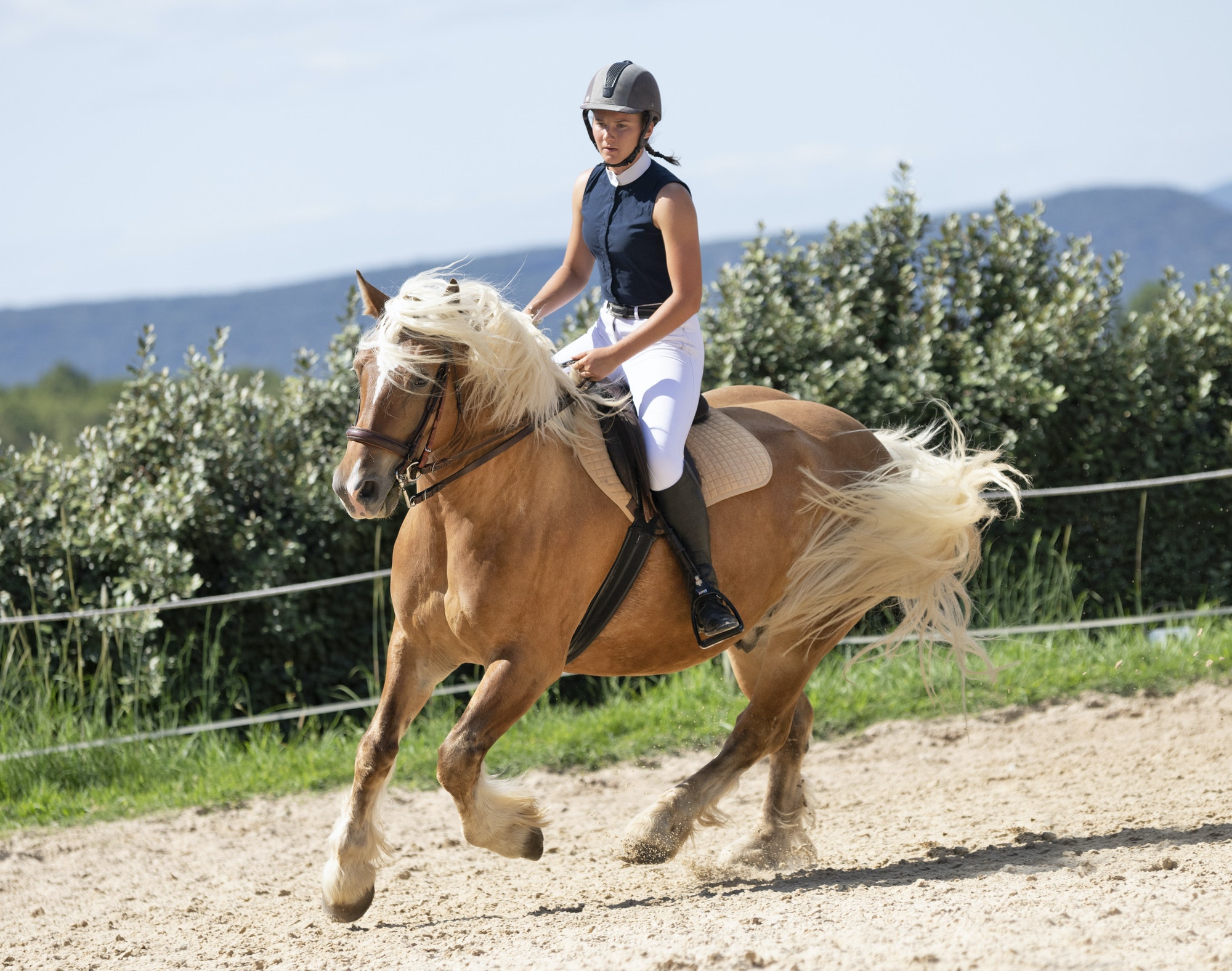 riding-girl-and-horse-2.jpg