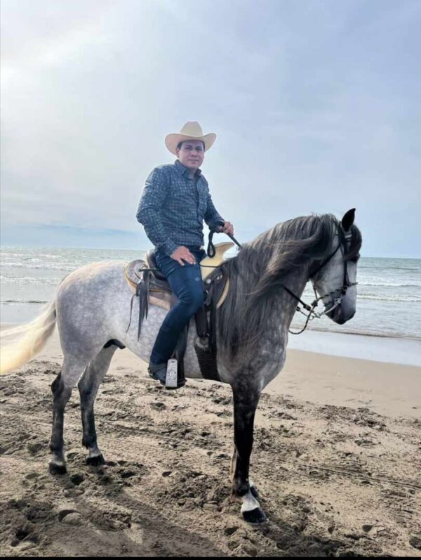 Caballo moro - Image 2
