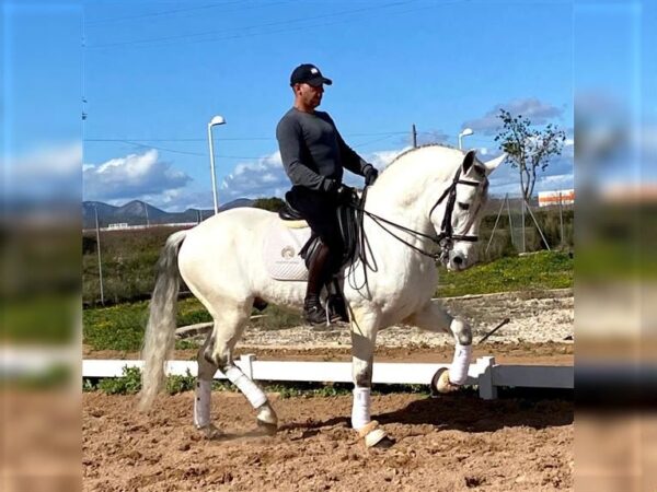 El P.R.E. GUAPO
