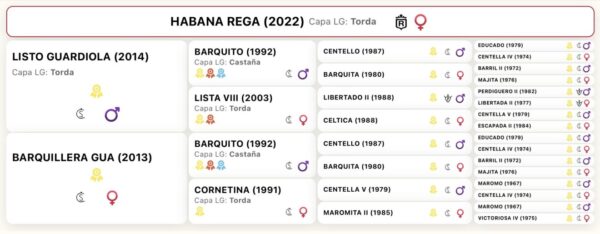 PRE Guardiola - Image 2